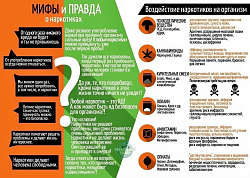 МИФЫ и ПРАВДА о наркотиках